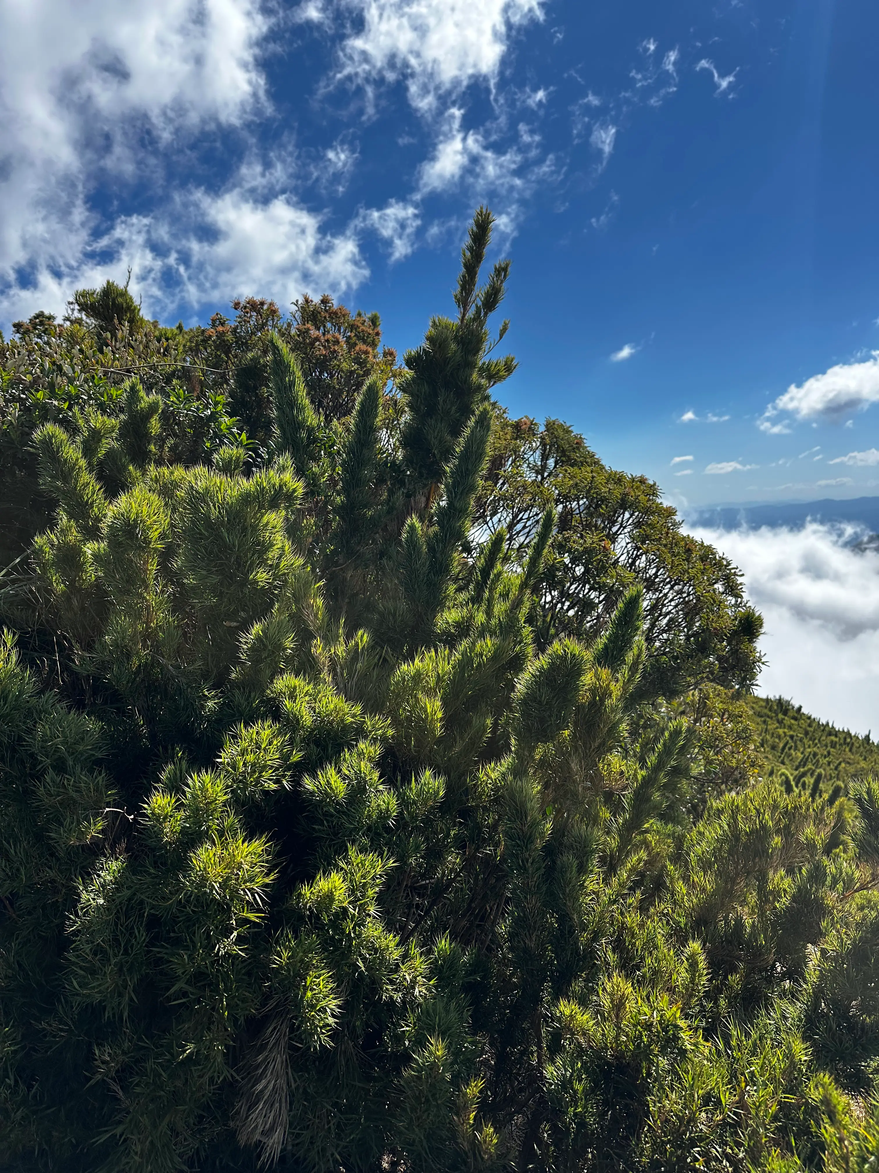 Pico Paraná, 23 ago 2026